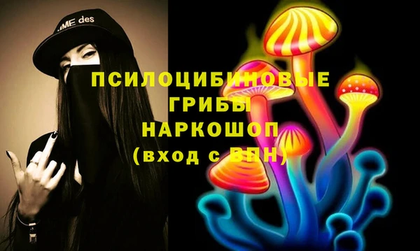 гашик Вязники
