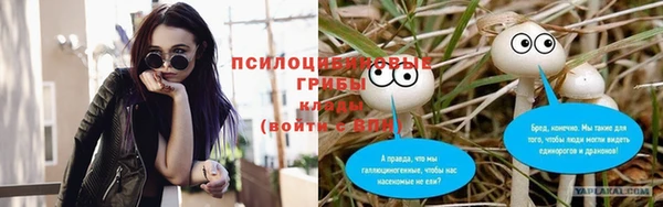 мяу мяу мука Горно-Алтайск