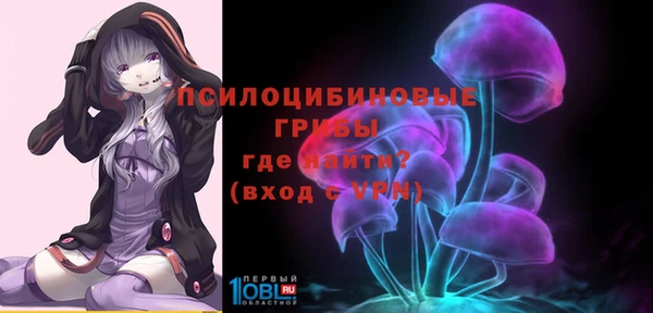 ешки Вязьма