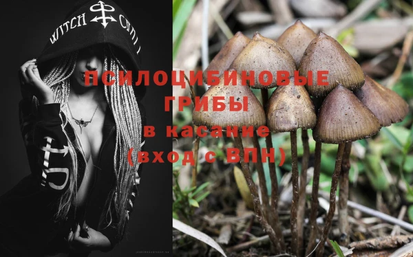 ешки Вязьма