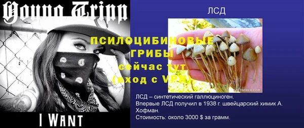 марки nbome Вяземский